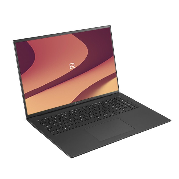 LG Gram Pro 17ZD90S Intel Core Ultra 7 155H WQXGA Negro | 16GB RAM | 512GB SSD | 17" | Excelente