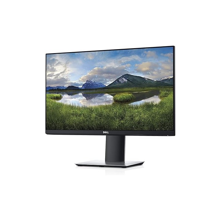 Monitor Dell P2319H IPS 1920x1080 LED | 23" FHD | Excelente
