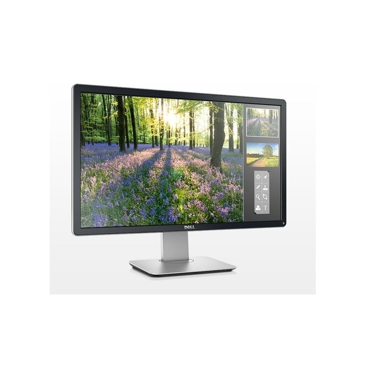 Monitor Dell P2414H 1920x1080 LED IPS 8ms | 24" FHD | Muy Bueno